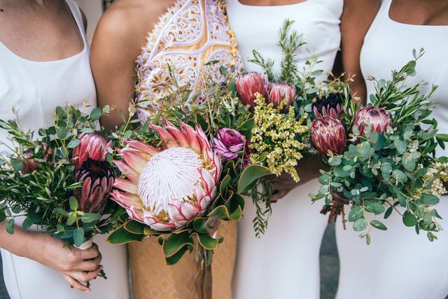 Tampa Bay wedding photographer