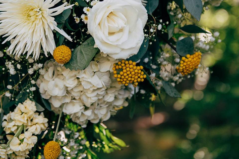 Closeup Yellow and White Arch