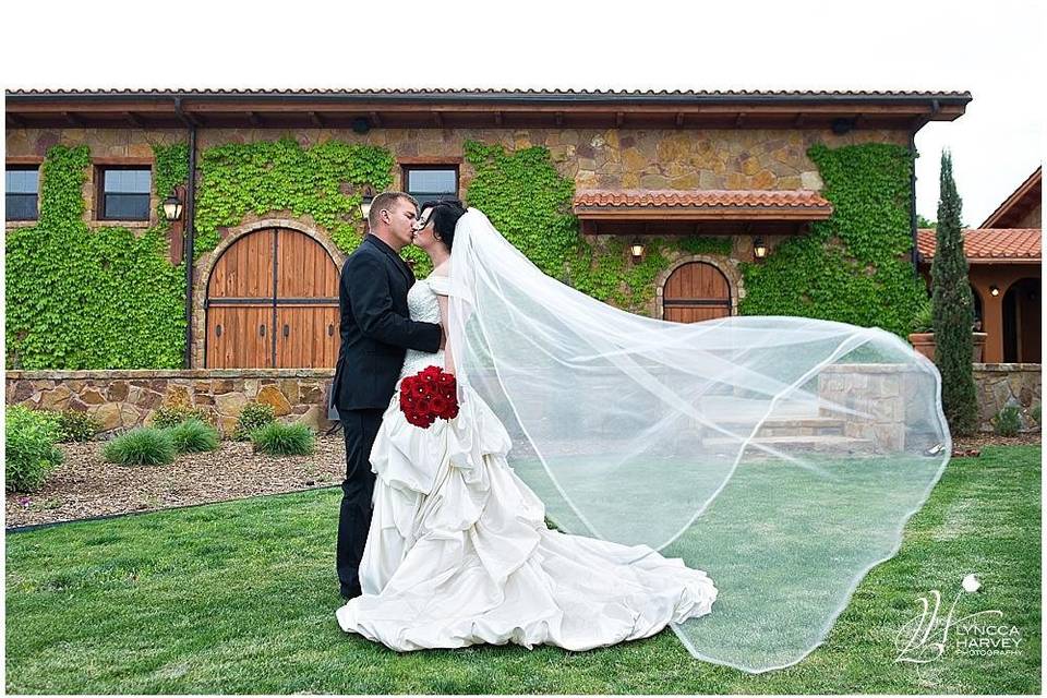 Iconic Wedding Veil Picture