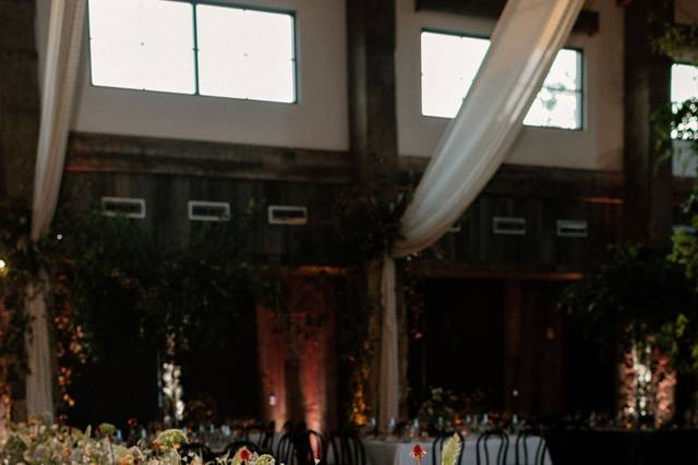 XO Moreau Weddings