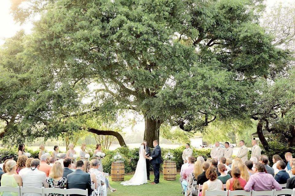 Outdoor Ceremony