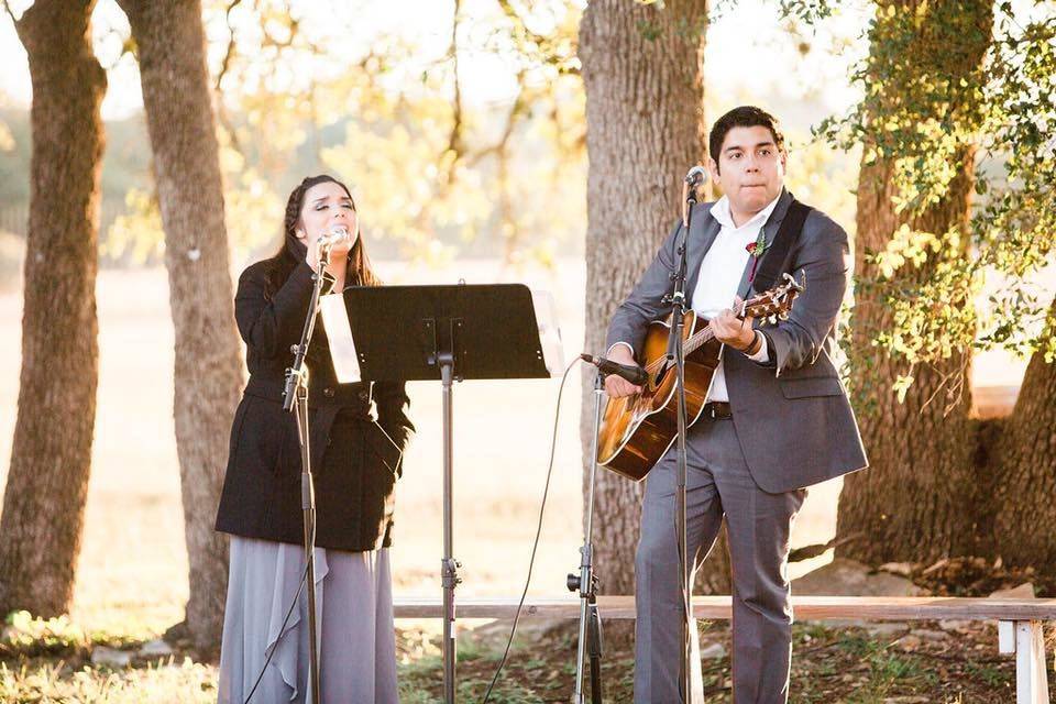 Playing for a wedding at the beautiful Duchman Family Winery.