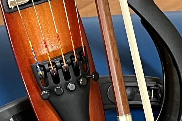 Electric violin
