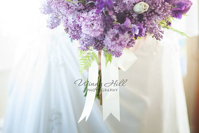 Windy Hill Photography