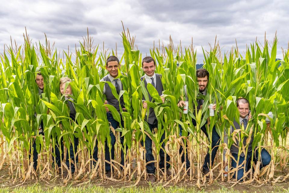 Groomsmen of the corn