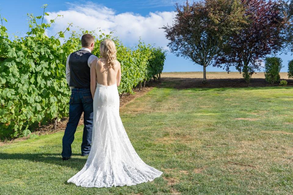 Love at aurora colony vineyard