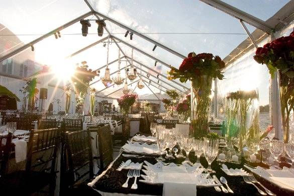 Affordable & Luxury Event Rentals