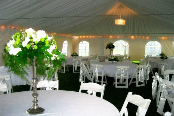 Affordable & Luxury Event Rentals