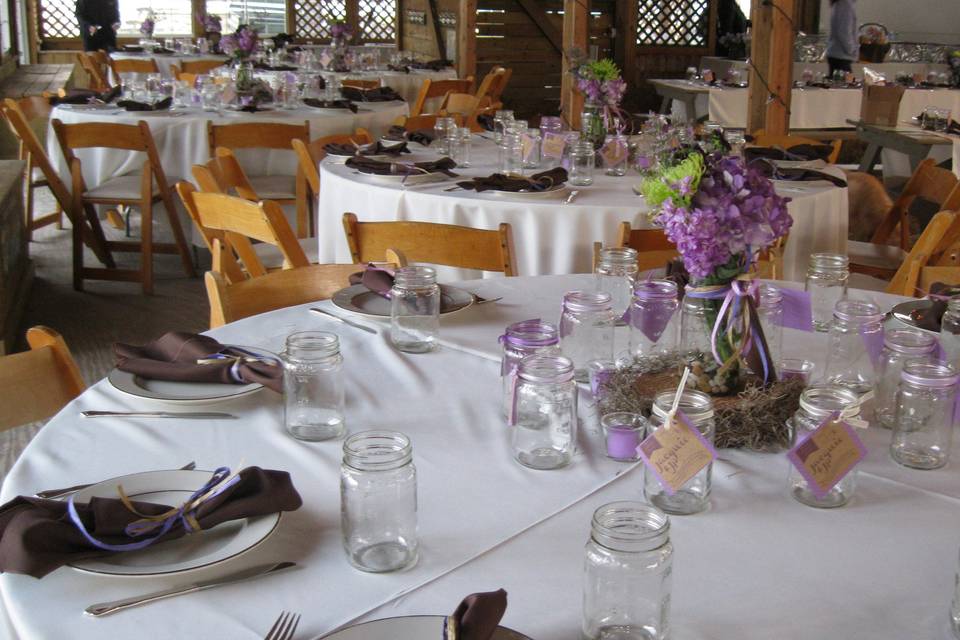 Affordable & Luxury Event Rentals