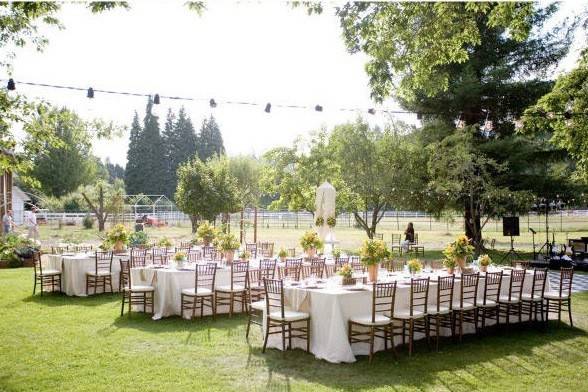 Affordable & Luxury Event Rentals