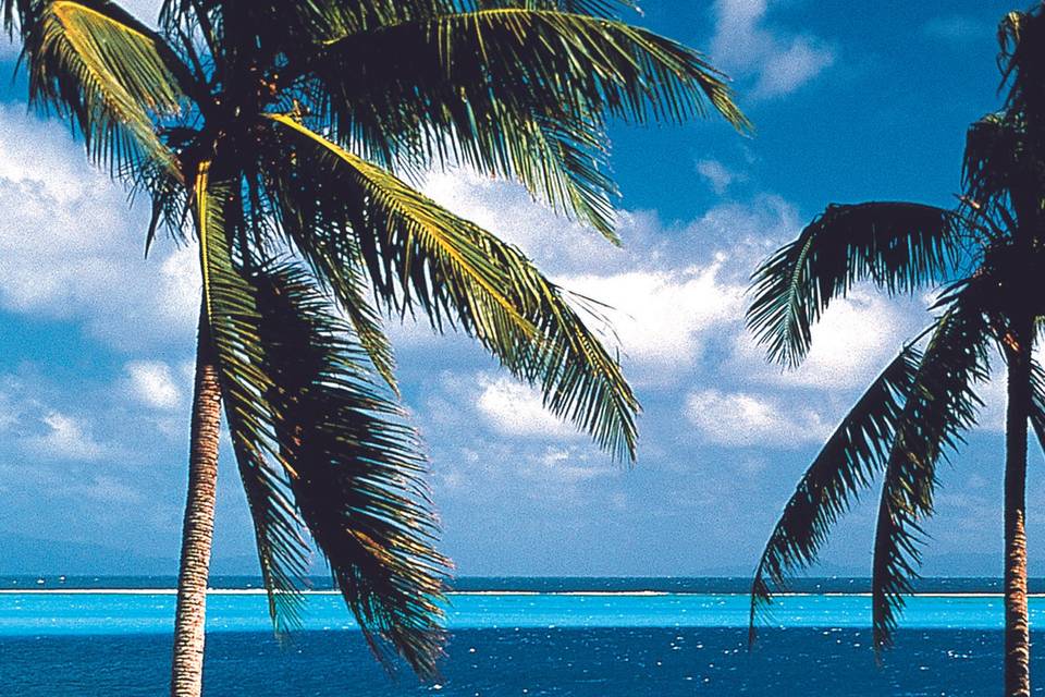 The islands of Tahiti make the perfect honeymoon destination!