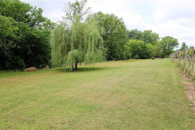 Full creekside meadow