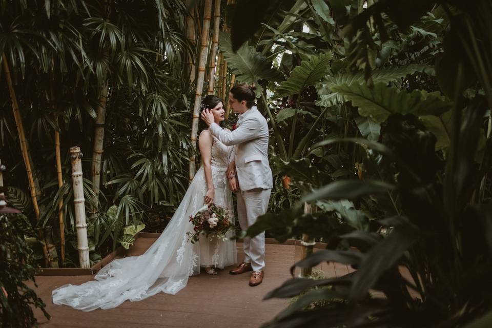 Bride and groom in palms