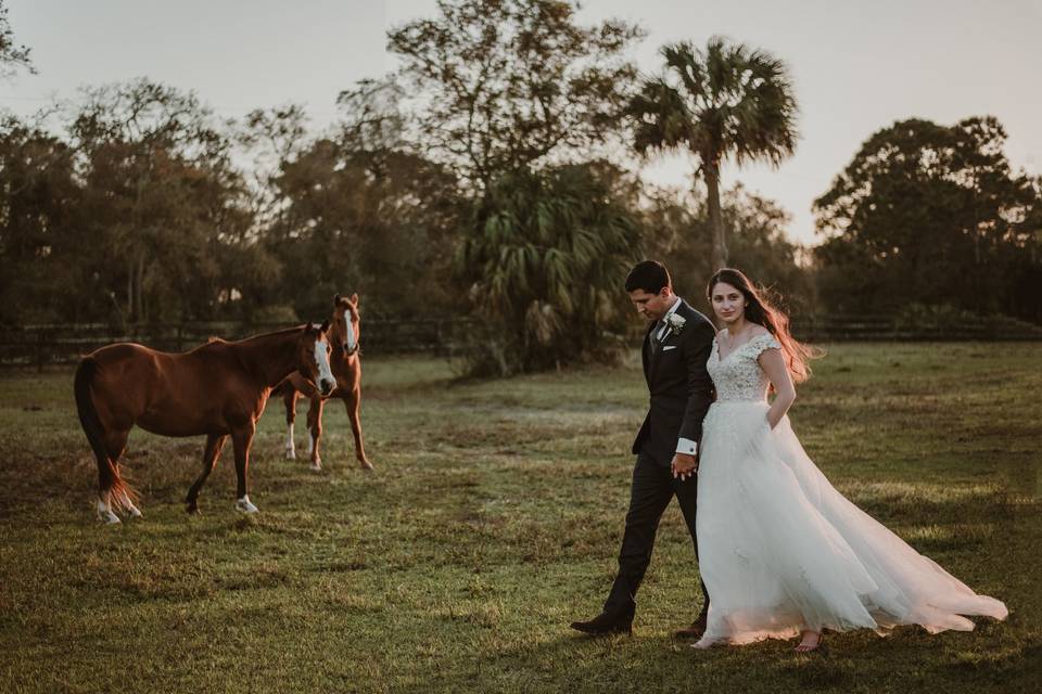 Couple and horses
