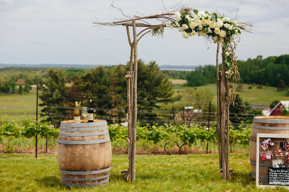 Vinyard wedding