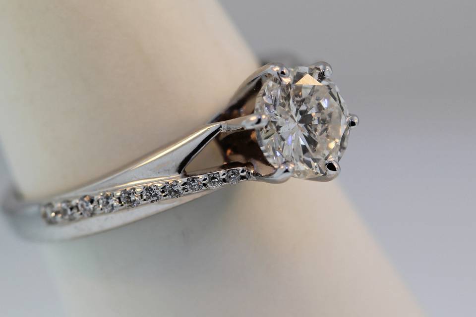 14k white gold diamond engagement ring with a split shank and 6 prong center setting. We can set any shape or size center stone into this ring. It can also be made in yellow gold or platinum.