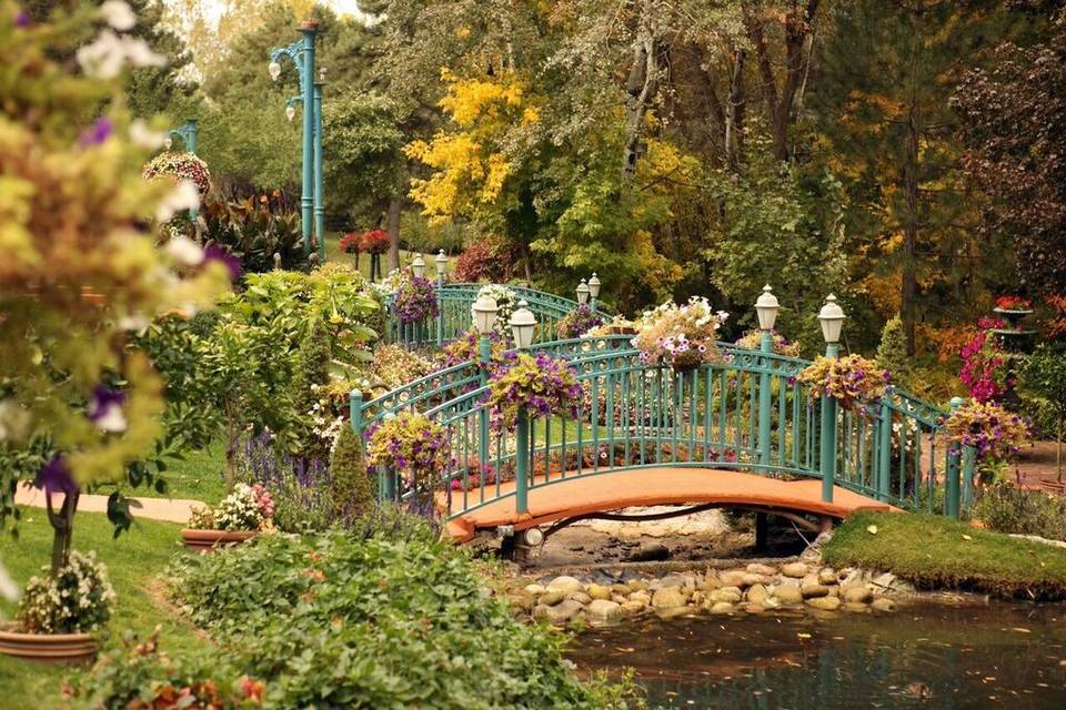 A bridge on La Caille