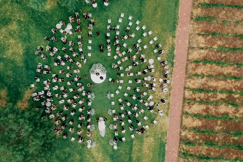 Vineyard Lawn