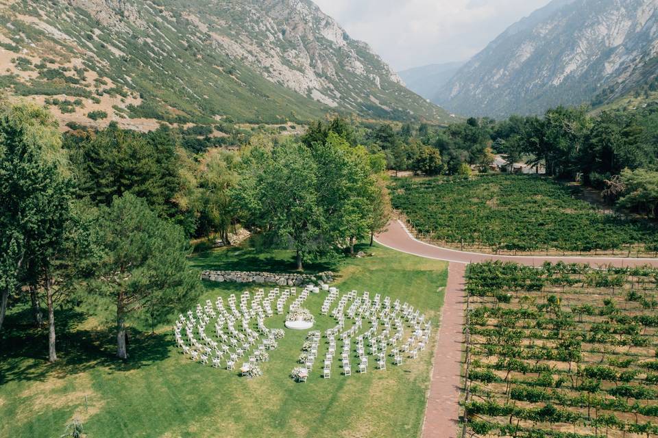 Vineyard Lawn