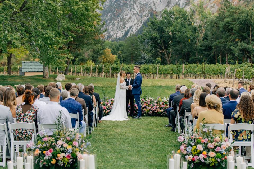 Vineyard Lawn