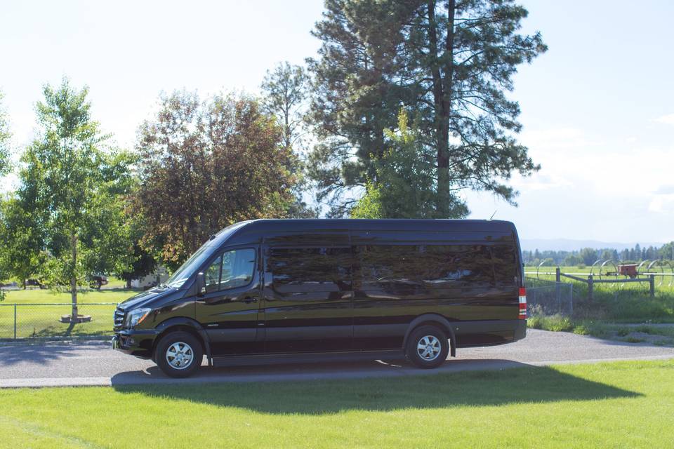 Mercedes Sprinter limo