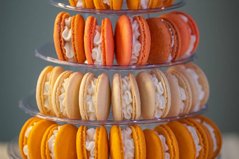 Fall Theme Macarons