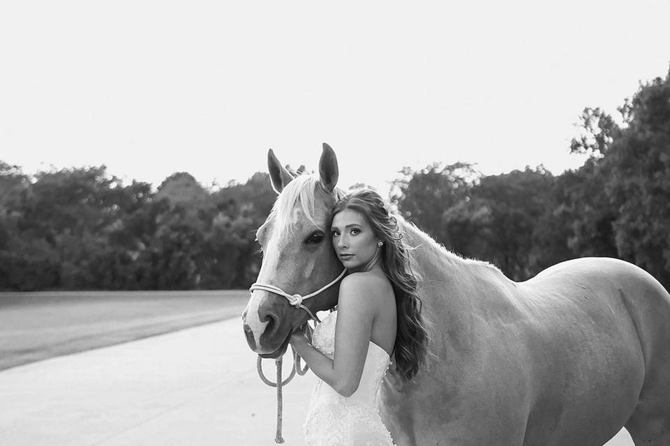 Bridal Horse