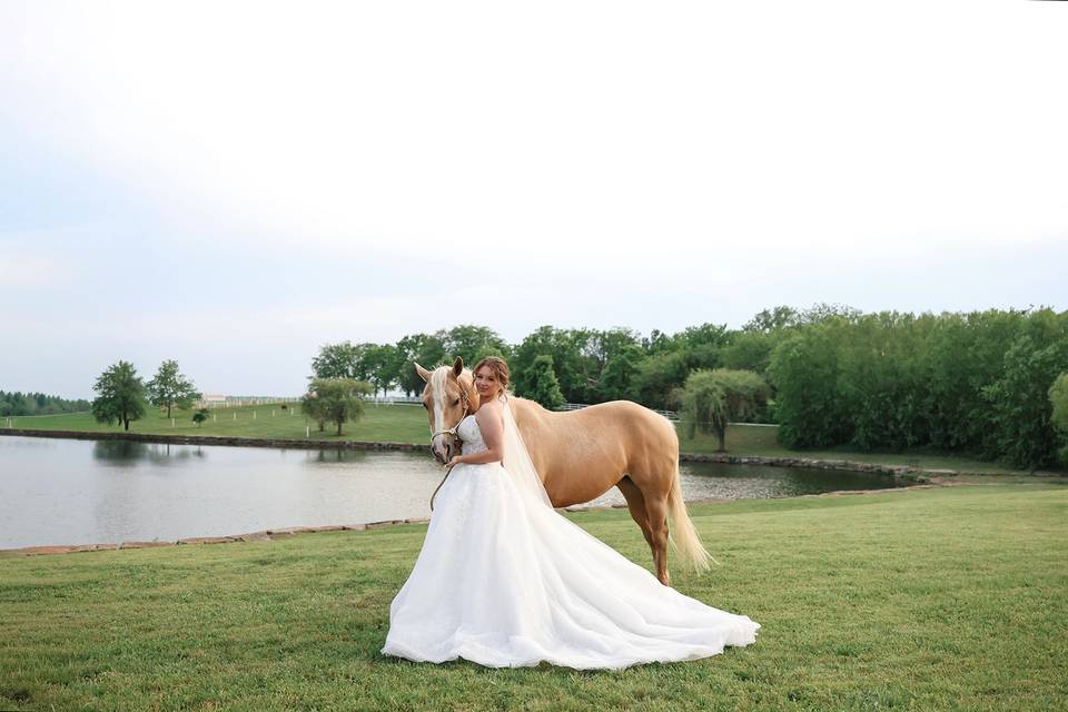 Horse and Bride