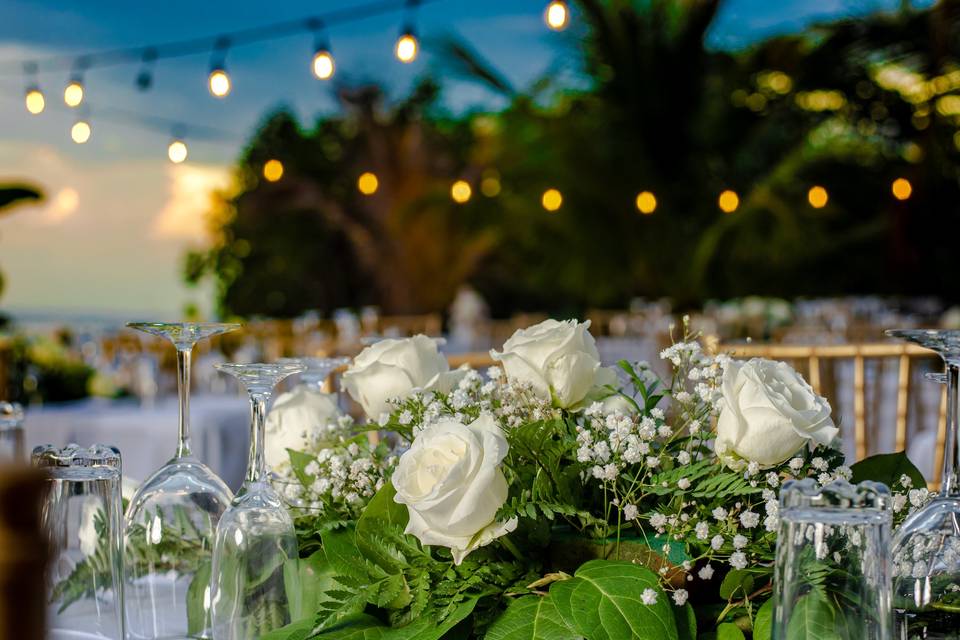 Garden , Ocean View