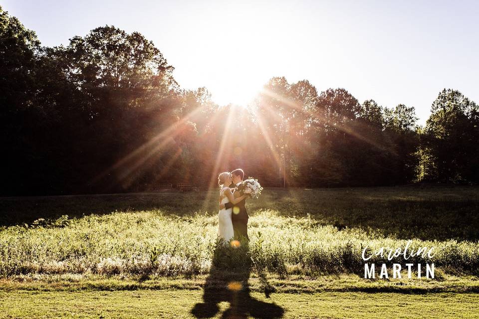 Kisses in the field