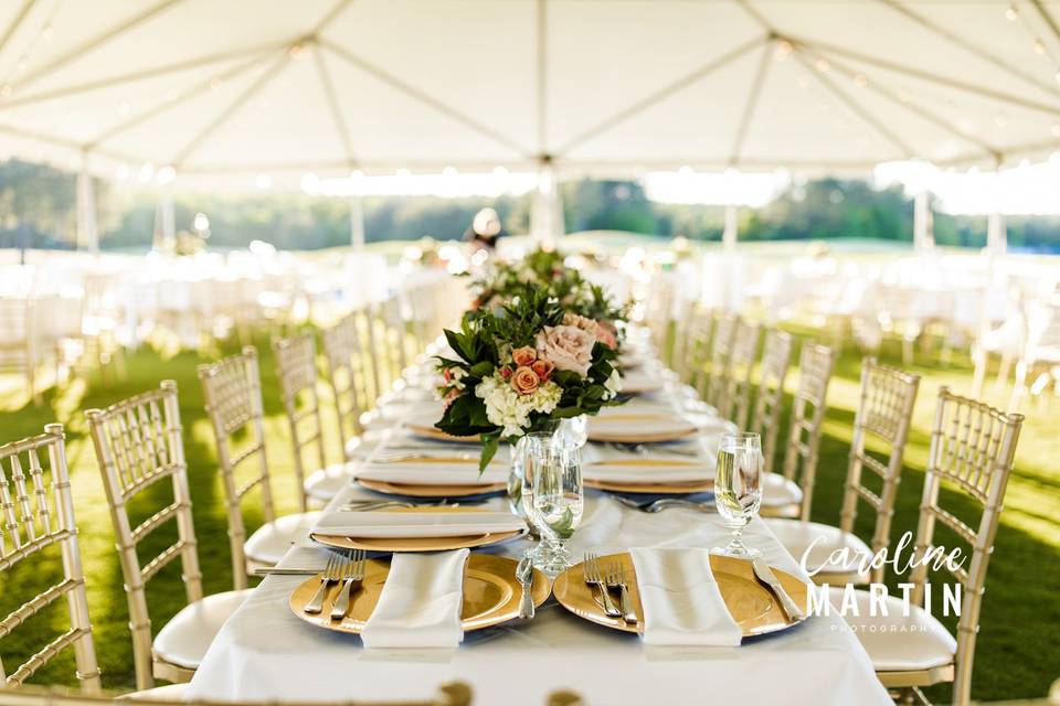 Reception on the lawn