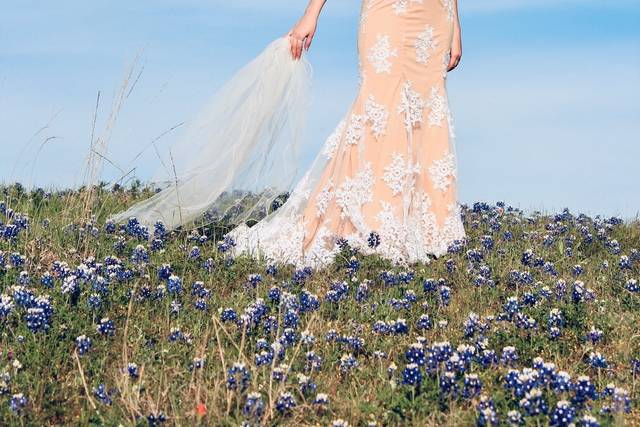 Blue sky and bluebonnets