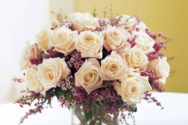 Serenity Flowers