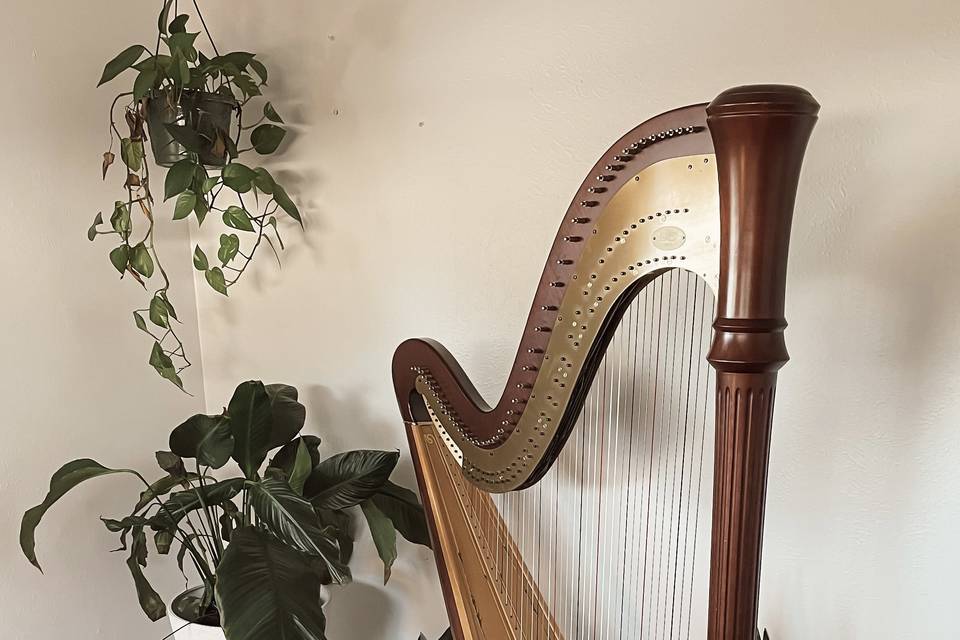Lyon & Healy Pedal Harp.