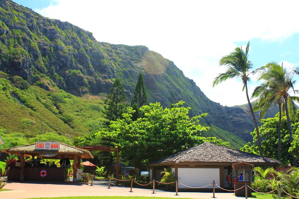 Hawaiian landscape