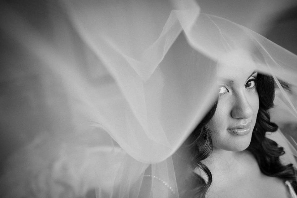 Bride with long veil