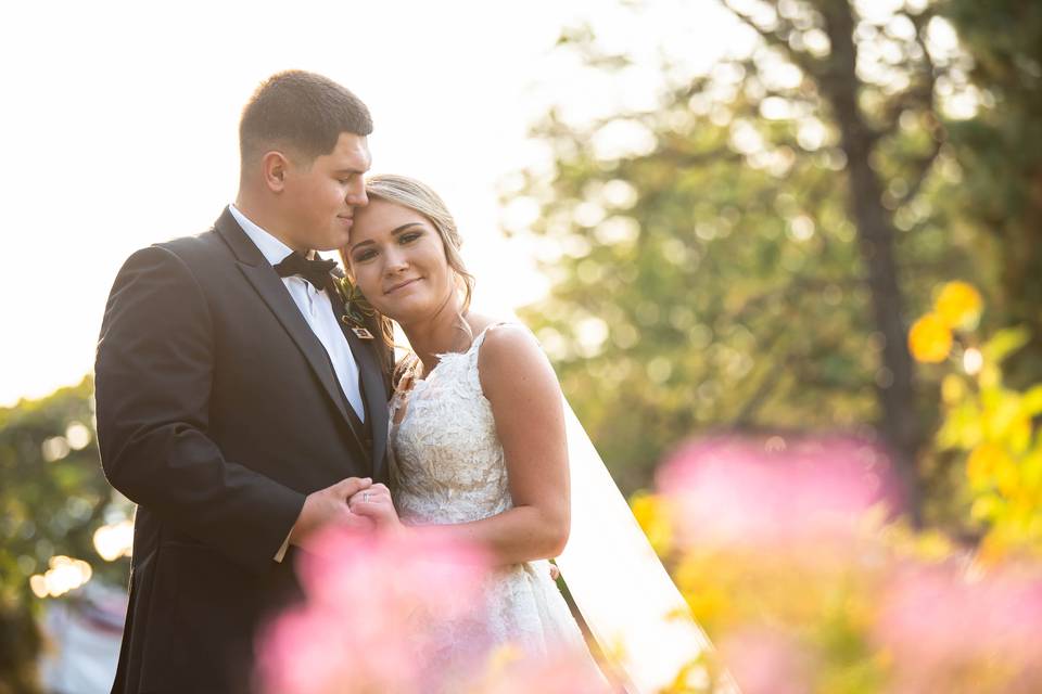 Lovebirds at sunset