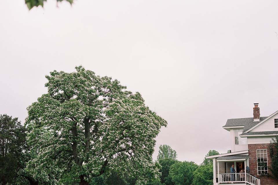 Guest House view from Pavilion