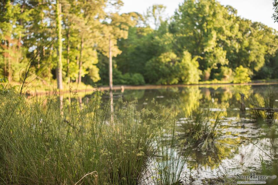 Pond behind pavilion