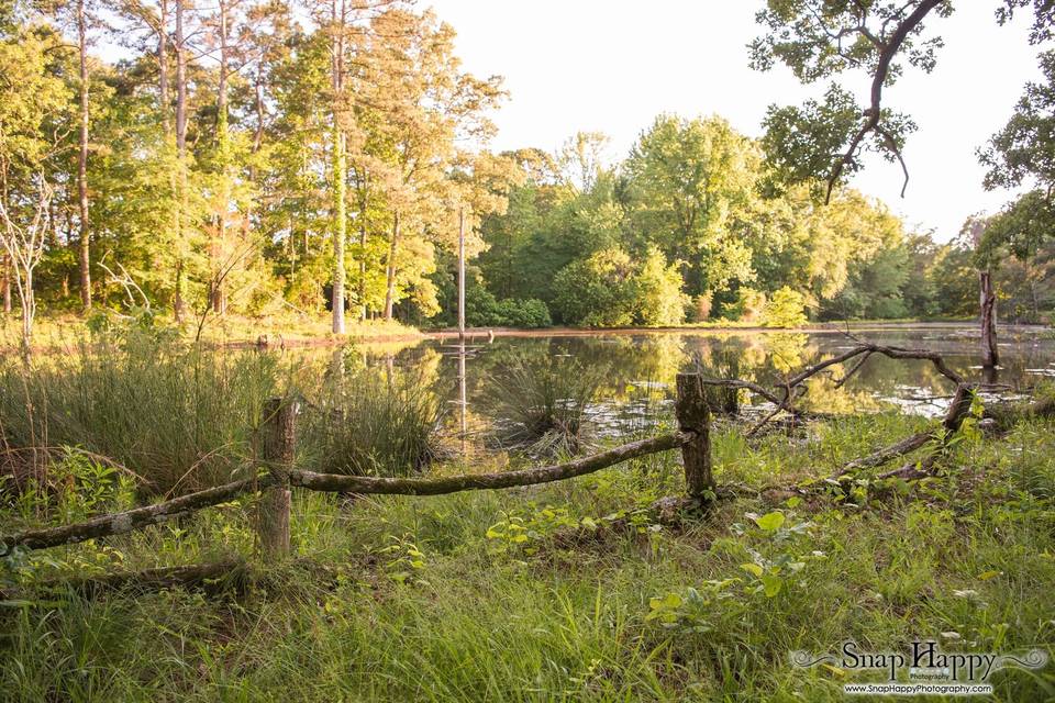 Pond behind pavilion