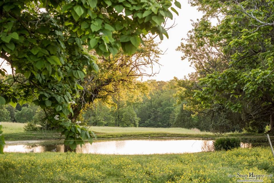 Pond by the Barn