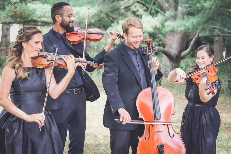 Simply Strings Quartet