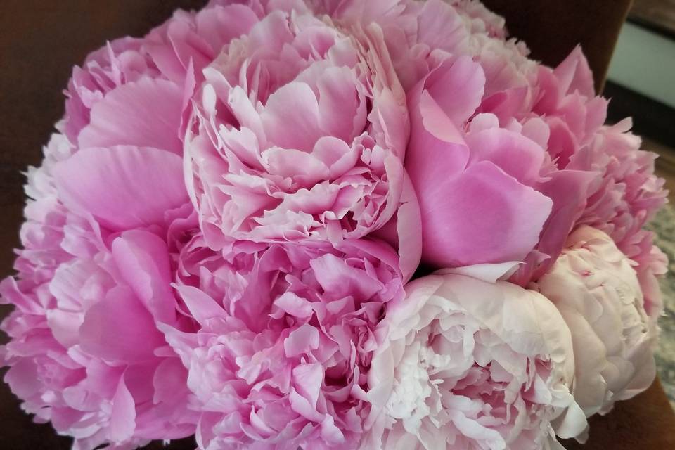 Bridal bouquet featuring pink peonies and white satin ribbon.