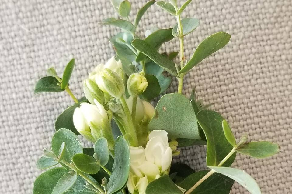 Boutonniere greenery