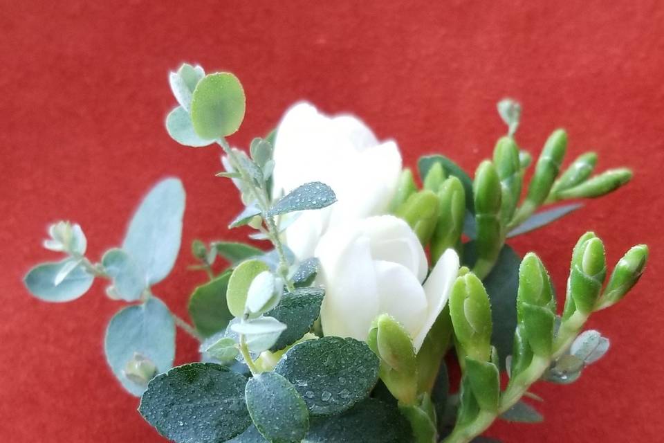 Boutonniere eucalyptus,freesia