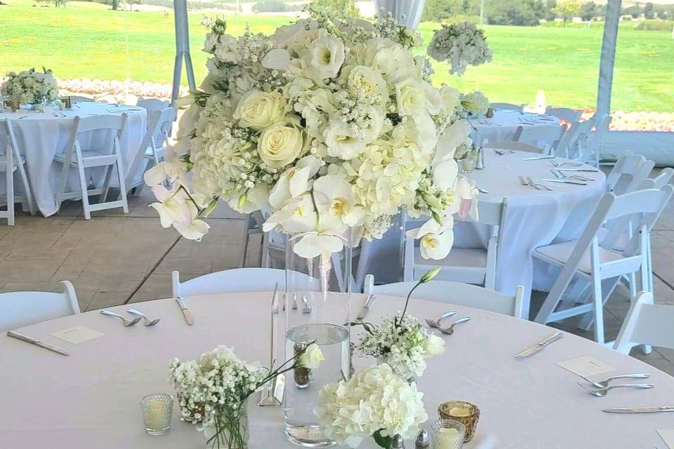 Tall white centerpiece orchid
