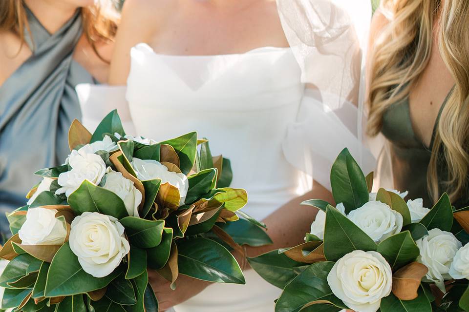 Magnolia White garden rose