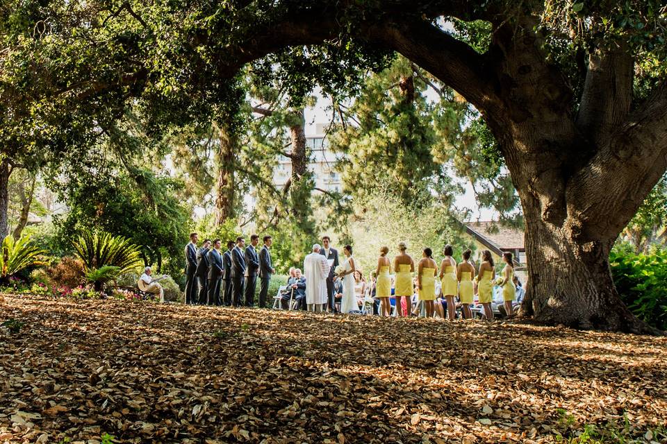 Ceremony under the historic oak tree