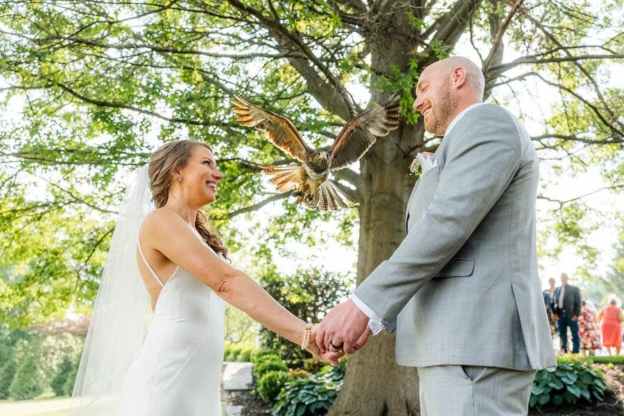 Pet Friendly Ring Bearer