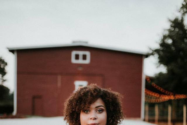 Humble Bee Flowers and Gifts